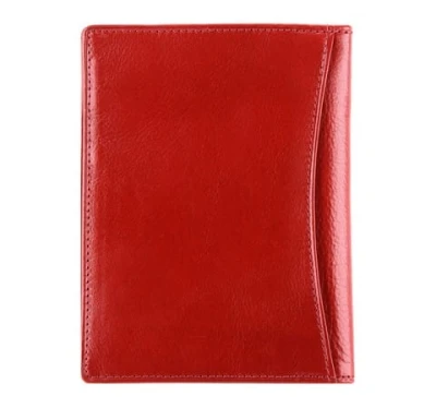 Wittchen Etui 21-2-174-3 3