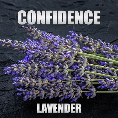 no-limit-platinum___241101 (2).webp