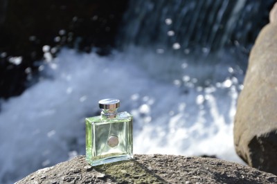 Versace Versense edt 2